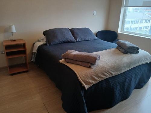 Osorno Apartment | Departamentos MyL 505