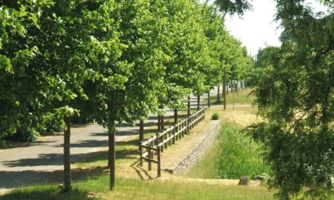 Behren-Luebchin House | Description