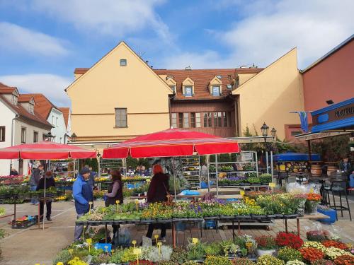 Donji Grad Apartment | Dolac Guesthouse