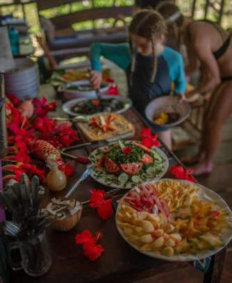 Quebrada La Gamba Cabin | Dolphin Quest Jungle Lodge