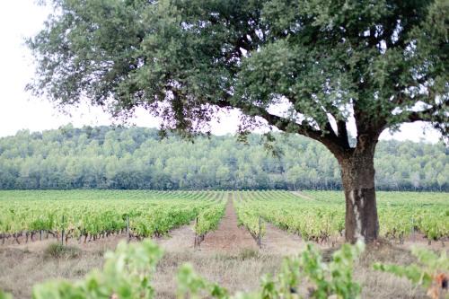 La Crau House | Domaine De Sigalous