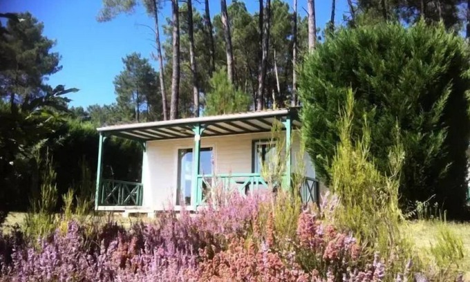 Tamnies Ski Chalet | Domaine des Grands Pins * - Chalet Epicea 4 people