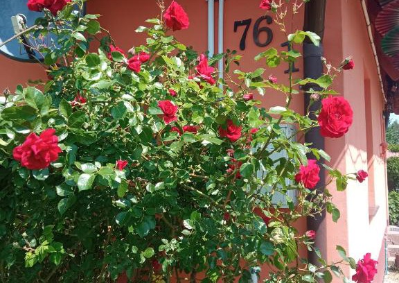 Pozezdrze House | Domek letni