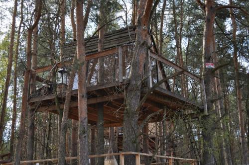 gmina Kamionka Cabin | Domek na Drzewie!
