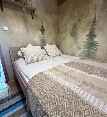 Wetlina Apartment | Domek Pawła