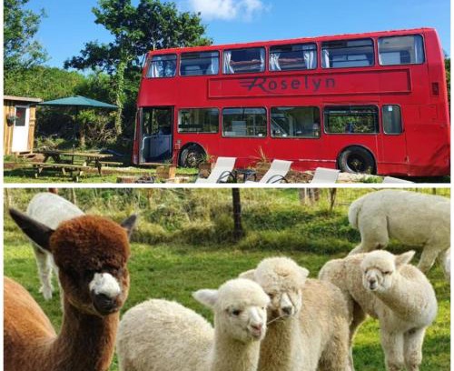 Liverton House | Double Decker Bus on an Alpaca farm sleeps 8, 5 mins drive to Dartmoor