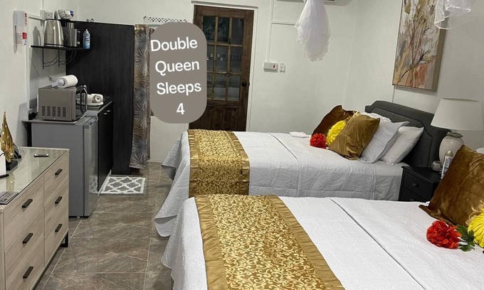Castle Comfort Apartment | Double Luxury Queen Apt#3 in Roseau with Kitchenette and Gorgeous Bathroom!