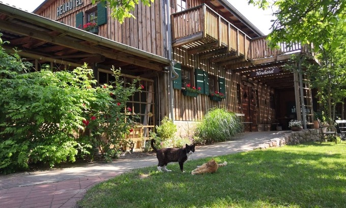 Dahlenburg Apartment | Double room for 2 guests with 25m² in Dahlenburg (150230)