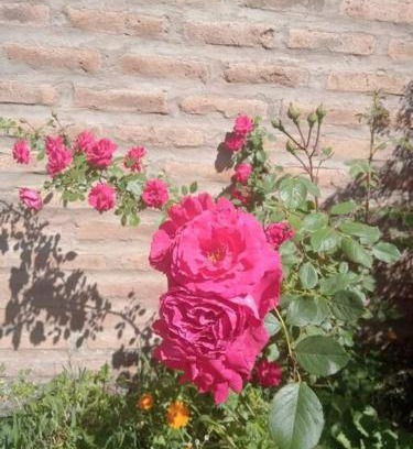 Zapala Apartment | Dpto BBB