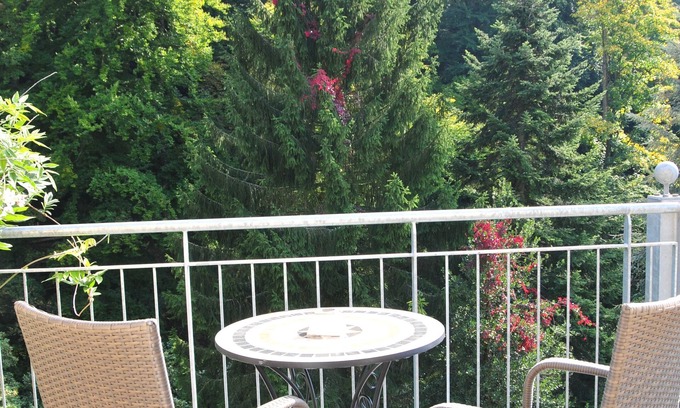 Baden-Baden Apartment | Dream view, balcony and close to nature