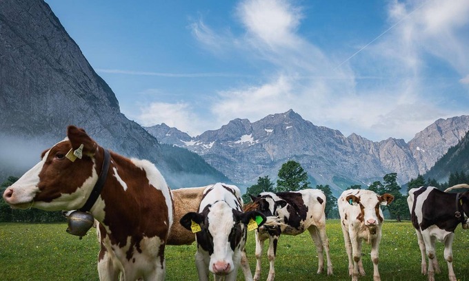 Eng Alm Cabin | Dreibettzimmer - Angerer Lager - Almdorf Eng Alm