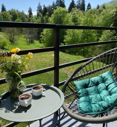 Bakuriani Apartment | Duplex apartment near the forest