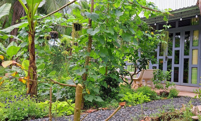 Giong Trom House | Duplex Cabin in farm stay - authentic experience of Mekong delta