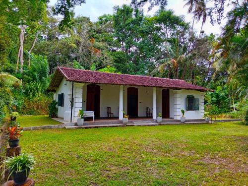 Dickwella House | Dutch House Hiriketiya