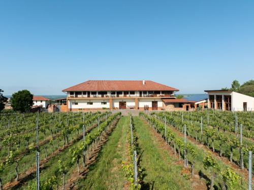 Mozsgo Bed & Breakfast | Ebner Pince - Panzió