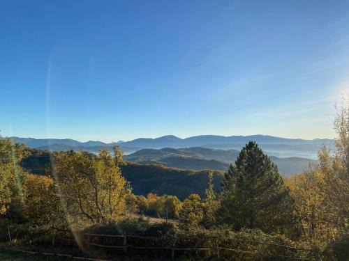 Monteluiano Bed & Breakfast | Eco b&b Ina Maka - Immersi nel verde
