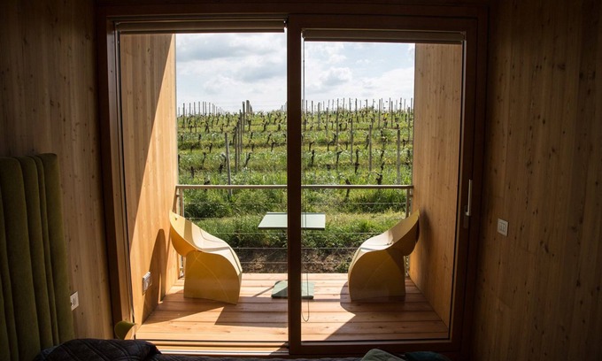 Carpeneto Other | Eco Bio Agriturismo La Bella Vite