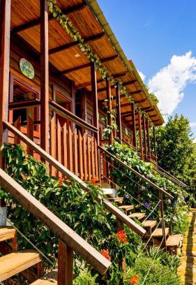 Curiti Hotel | Ecodreamers Curiti