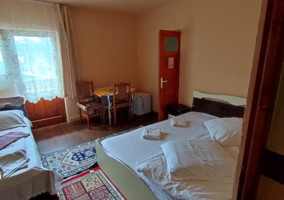 Borsec House | Edelweis Floare de Colt
