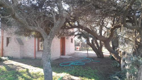 Toay House | El Bosque