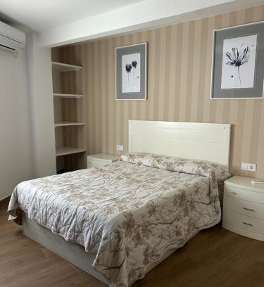 Santa Cruz de la Zarza Apartment | El Coso