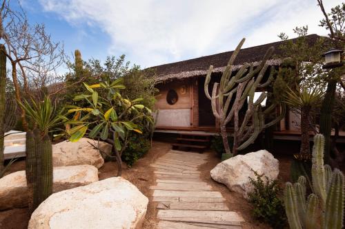 El Pescadero Hotel | El Perdido Desert Dream- Adults Only