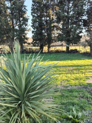 Barbentane Other | Emplacement camping car chez agriculteur branchement électrique