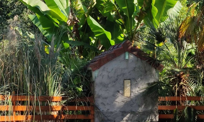 Artiguelouve House | En plein coeur de la forêt