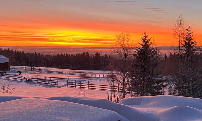 Loten Municipality House | Enjoy an unforgettable time with the family in this vacation home with sauna.