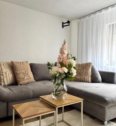 Altenahr Apartment | Enjoy