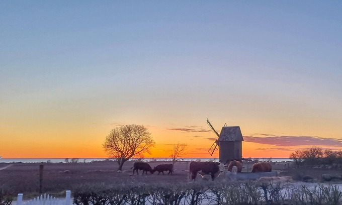 Morbylanga House | Enjoy the tranquillity and idyll during a lovely break in this holiday home with historical flair.