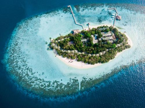 Eriyadu Resort | Eriyadu Island Resort