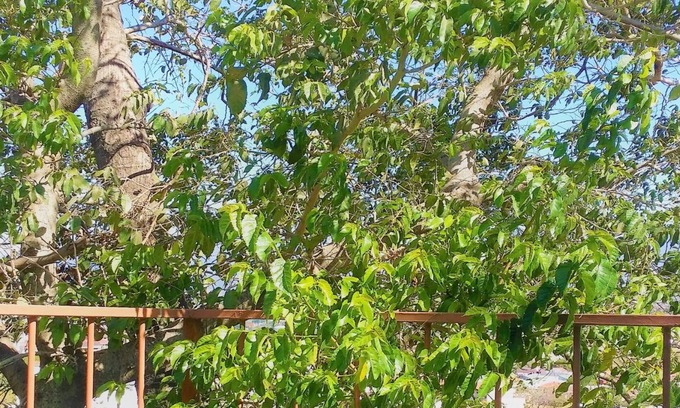 Guachipelin Apartment | Escazú Container Studio #3. Great View & Location!