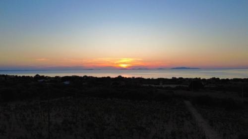 Sorso Villa | Esclusiva villa nella natura vista mare e tramonti