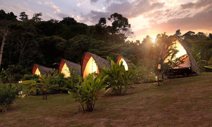 Naranjito Other | Esquipulas Rainforest
