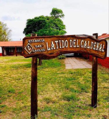 Luan Toro Apartment | Estancia San Carlos