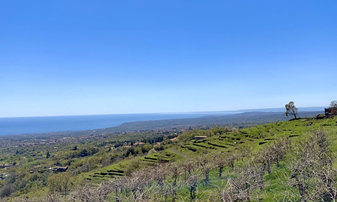 Giarre House | Etna Kiwi Estate