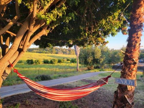 Escondido House | Exotic Gem Relaxing Farm Vibes Near Safari Zoo, Legoland & Wineries