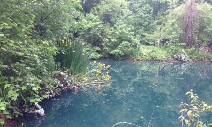 Kernersville Cottage | Fairy Tale Cottage in the Woods