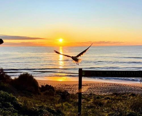 Falcon House | Falcon Bay Family Retreat