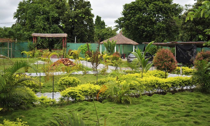 Barangabari Hotel | Falcon Jungle Resort