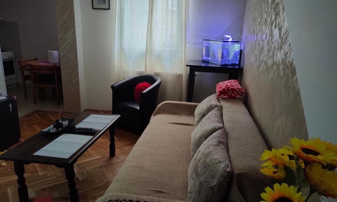 Zvezdara Apartment | Family dream
