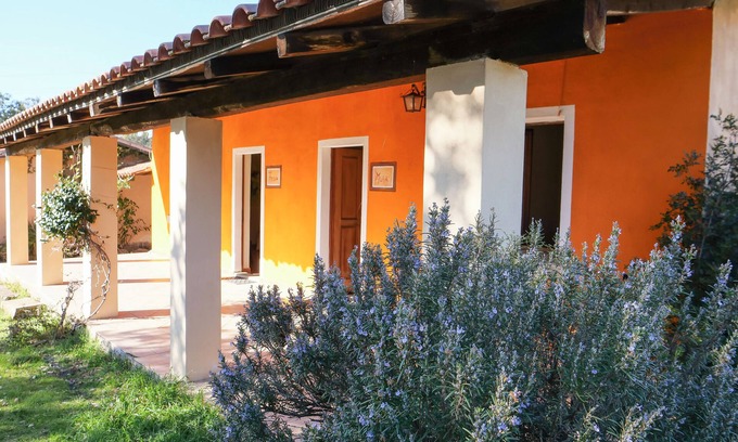 Ula Tirso Other | Farmhouse nestled in a cork oak forest with boungalows. Pets allowed