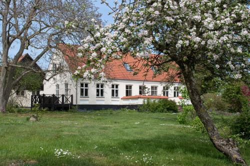 Ronne Villa | Feriehuset Ørnereden