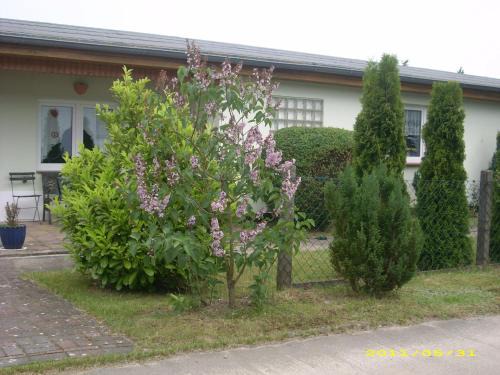 Nakensdorf House | Ferienhaus am Neuklostersee