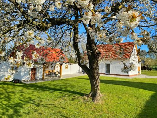 Sassnitz House | Ferienhaus Berta