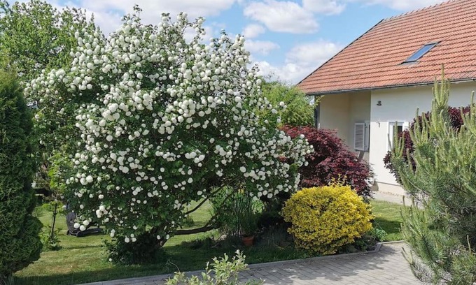 Traitsching Apartment | Ferienhaus Ruhe Oase im Bayerischen Wald