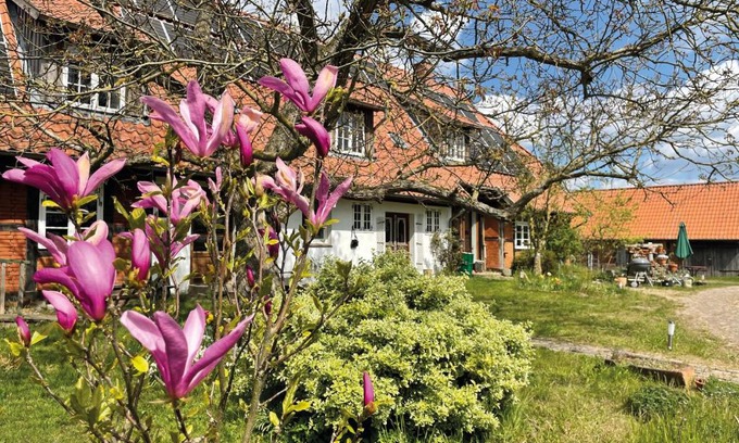 Wittendorp Apartment | Ferienhof Rauchhaus