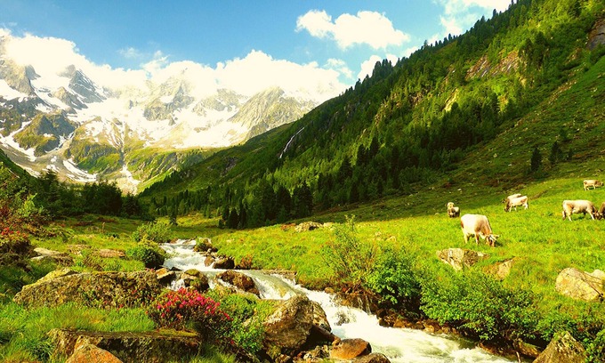 Virgen Apartment | Ferienwohnung/app. für 5 Gäste mit 55m² in Niedermauern