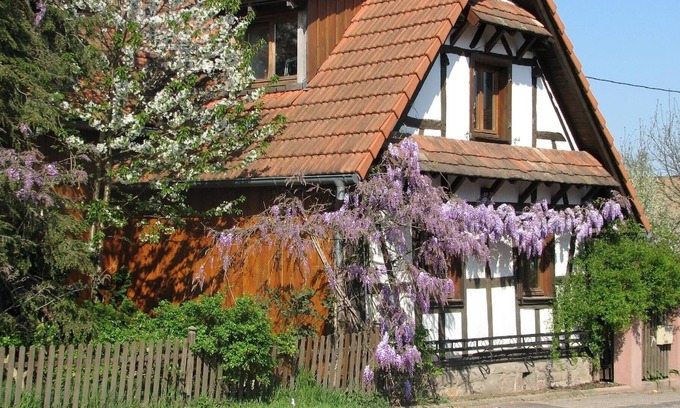 Betschdorf Apartment | Ferienwohnung/app. für 2 Gäste mit 35m² in Schwabwiller